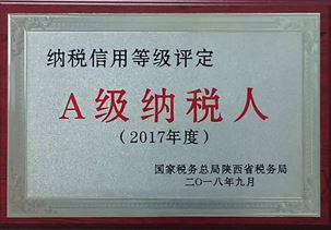 A级纳税人2017